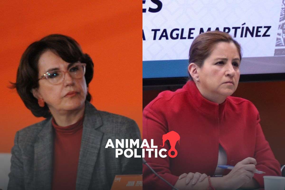Sociedad civil pide a Movimiento Ciudadano postular a Patricia Mercado y Martha Tagle al Congreso