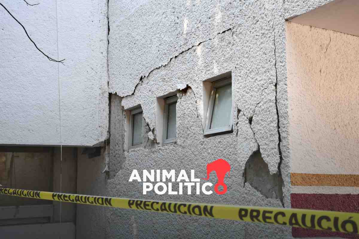 Sismo de magnitud 6.5 deja dos personas sin vida en Guerrero y CDMX; suman 1071 réplicas 