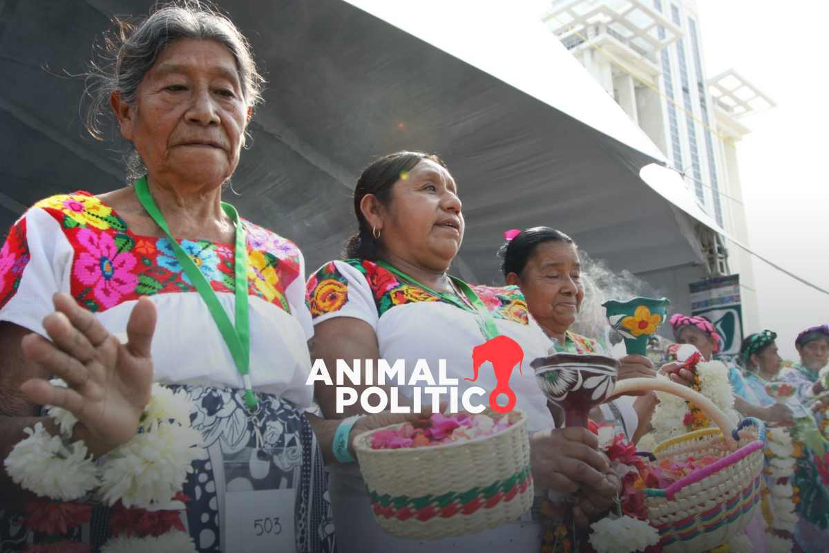El dinero para financiar proyectos ambientales difícilmente llega a mujeres indígenas y afrodescendientes | Foto: Cuartoscuro