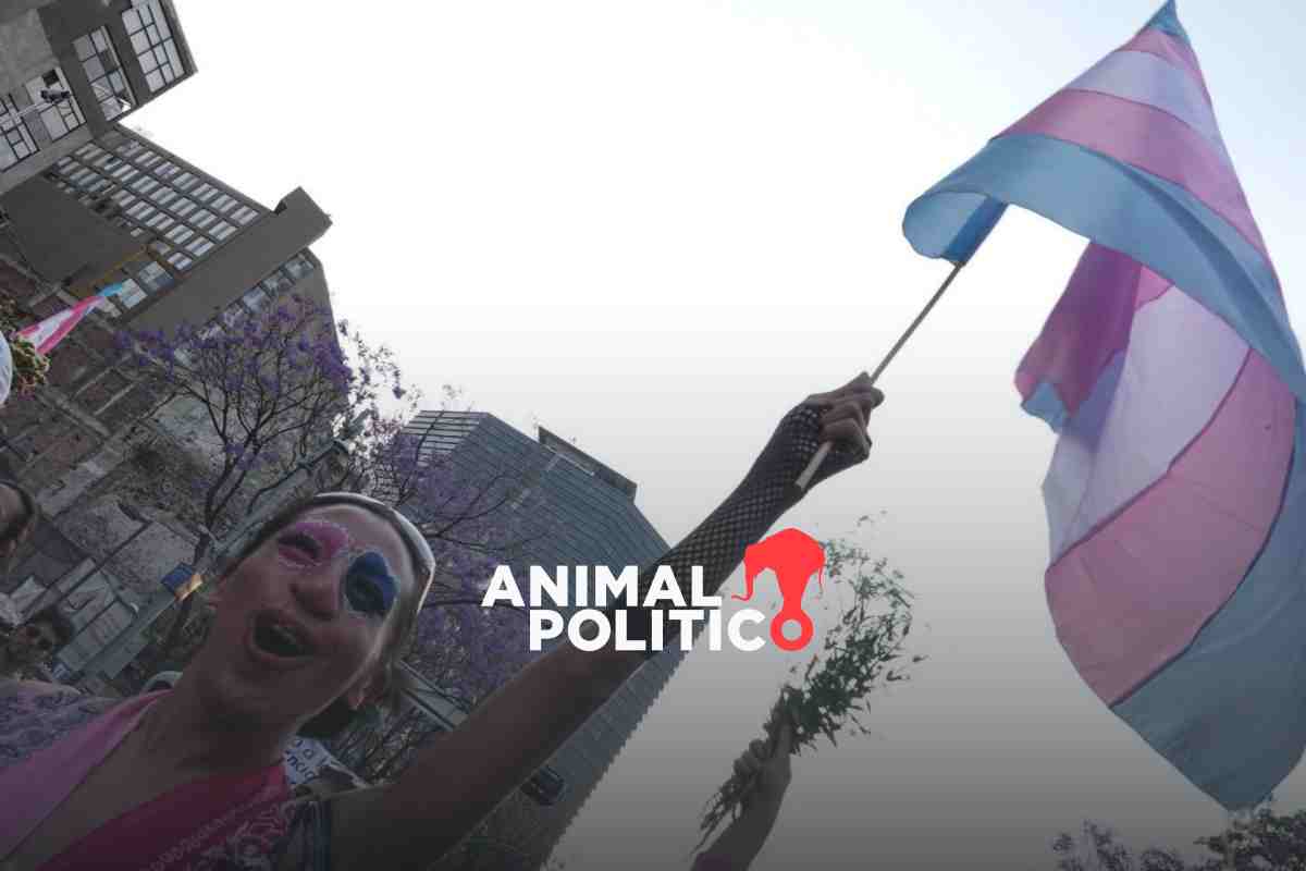 Estos son los requisitos para el apoyo económico a personas trans en CDMX