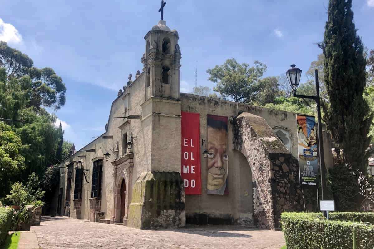 museo dolores olmedo anuncia reapertura