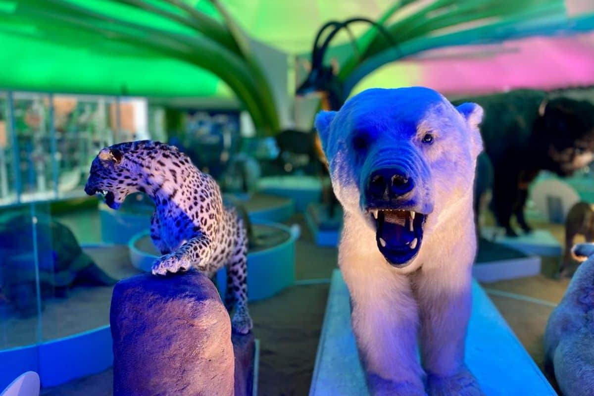 10 museos para ir con niños en CDMX y divertirse en familia