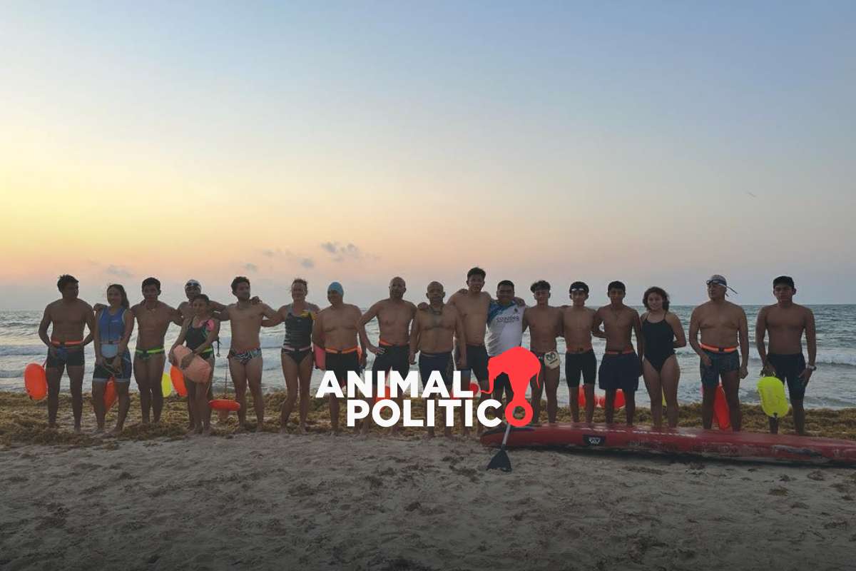 Nado con causa, la iniciativa que protege a la ballena jorobada en Nayarit a través del deporte 