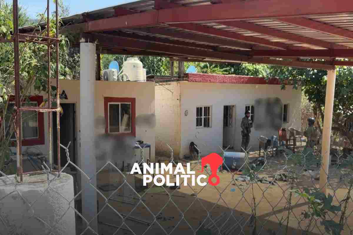 Localizan 10 campamentos vinculados al crimen organizado en Sinaloa durante búsqueda de mineros 