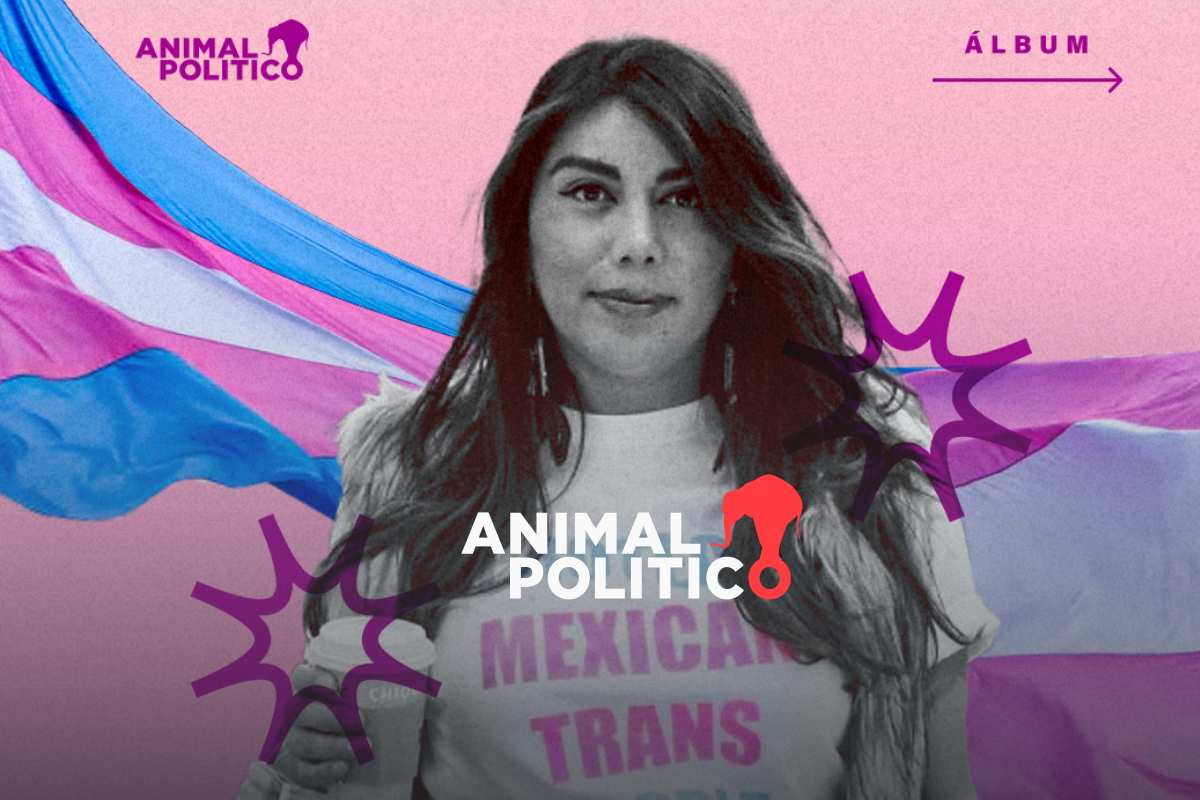 4 años del intento de transfeminicidio de Natalia Lane: buscar justicia entre revictimización 