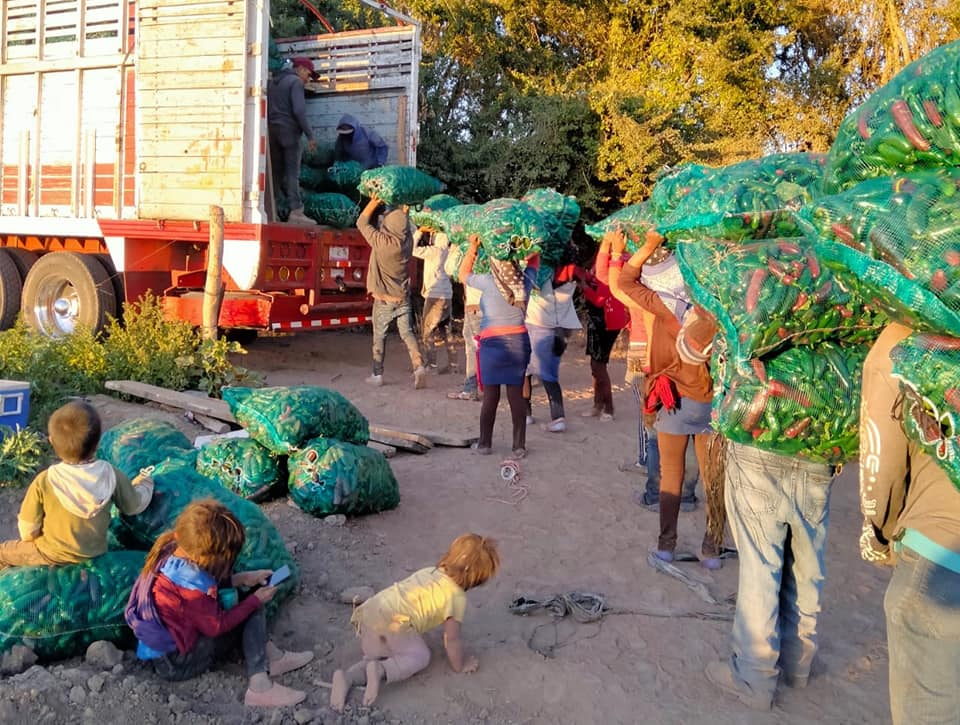Niño de 5 años, hijo de jornaleros, fallece por falta de atención médica en la Montaña de Guerrero 
