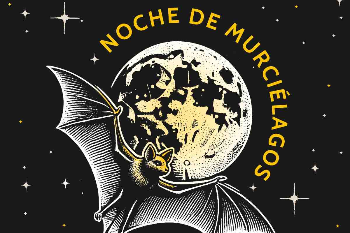 Noche de Murciélagos: una experiencia para conocer a los mamíferos nocturnos que habitan la CDMX