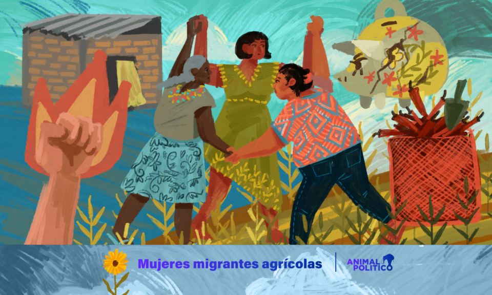 Trabajadoras agrícolas en Sinaloa: de ser blanco de violencias a la organización en sus comunidades