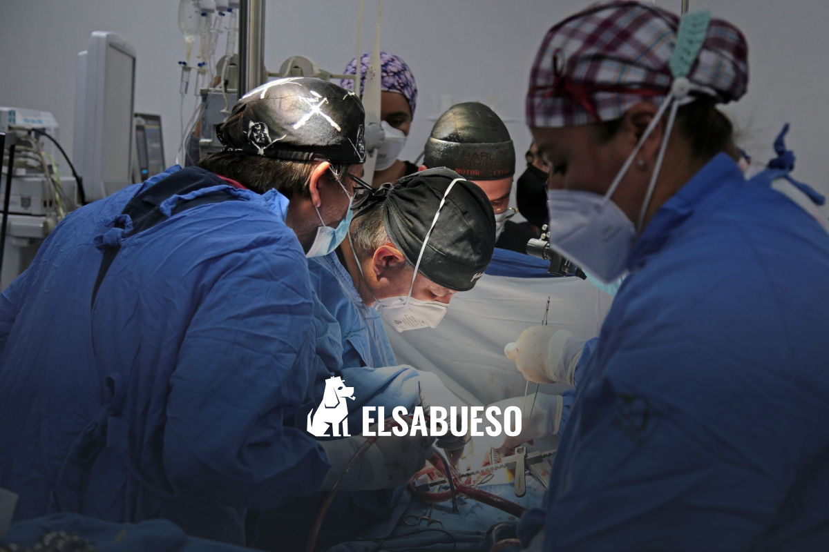 Más de 17,000 vidas en pausa: ¿por qué miles de mexicanos esperan donaciones de órganos o tejidos?