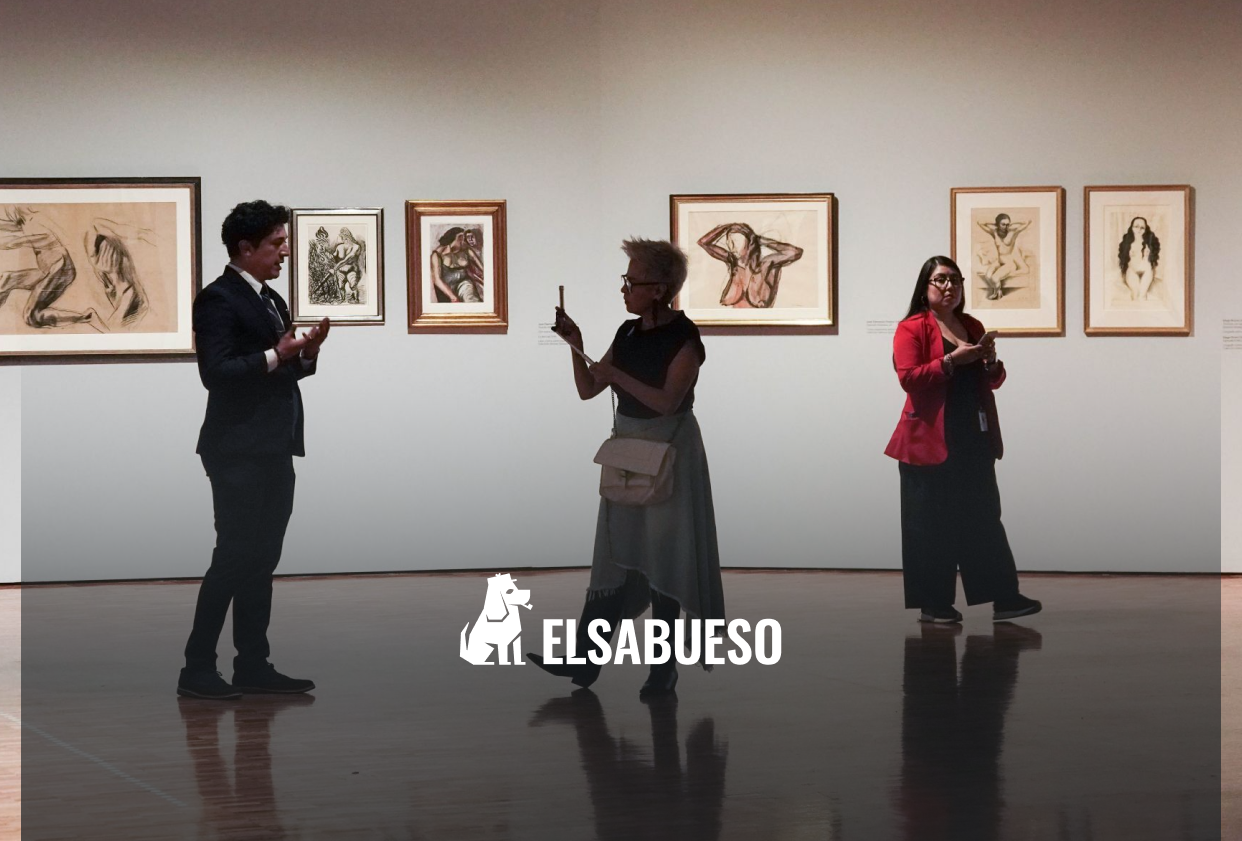 ¿Qué es la colección de arte Gelman y quién es su dueño?