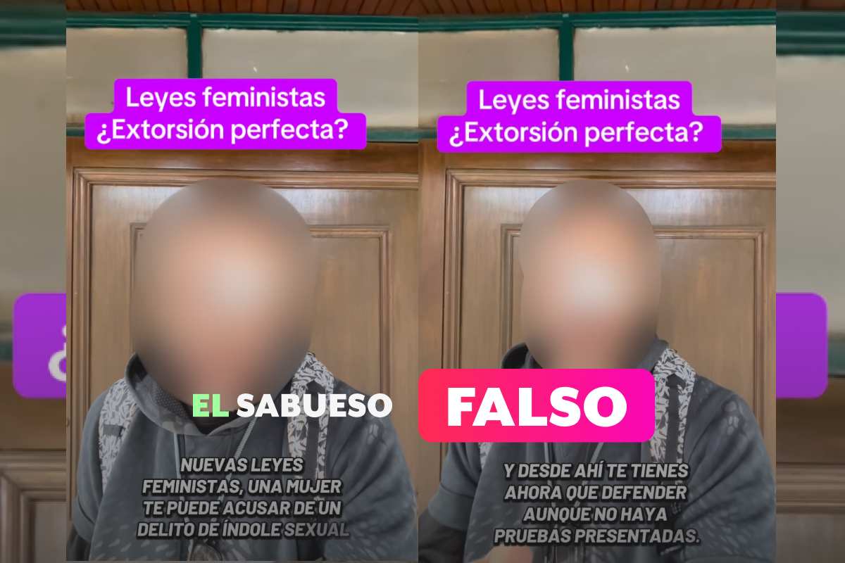 ¿“Nuevas leyes feministas” permiten encarcelar sin pruebas? Falso, esto responden las expertas