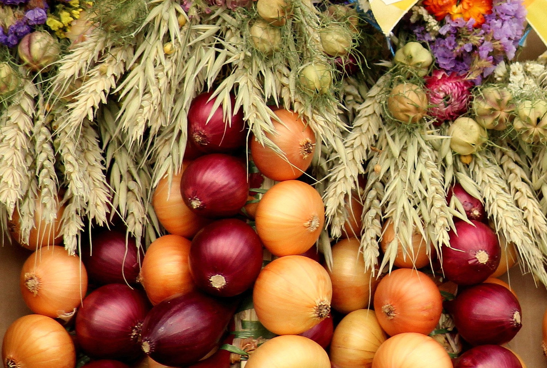 La cebolla: el ingrediente incondicional de las cocinas mexicanas y sus variedades