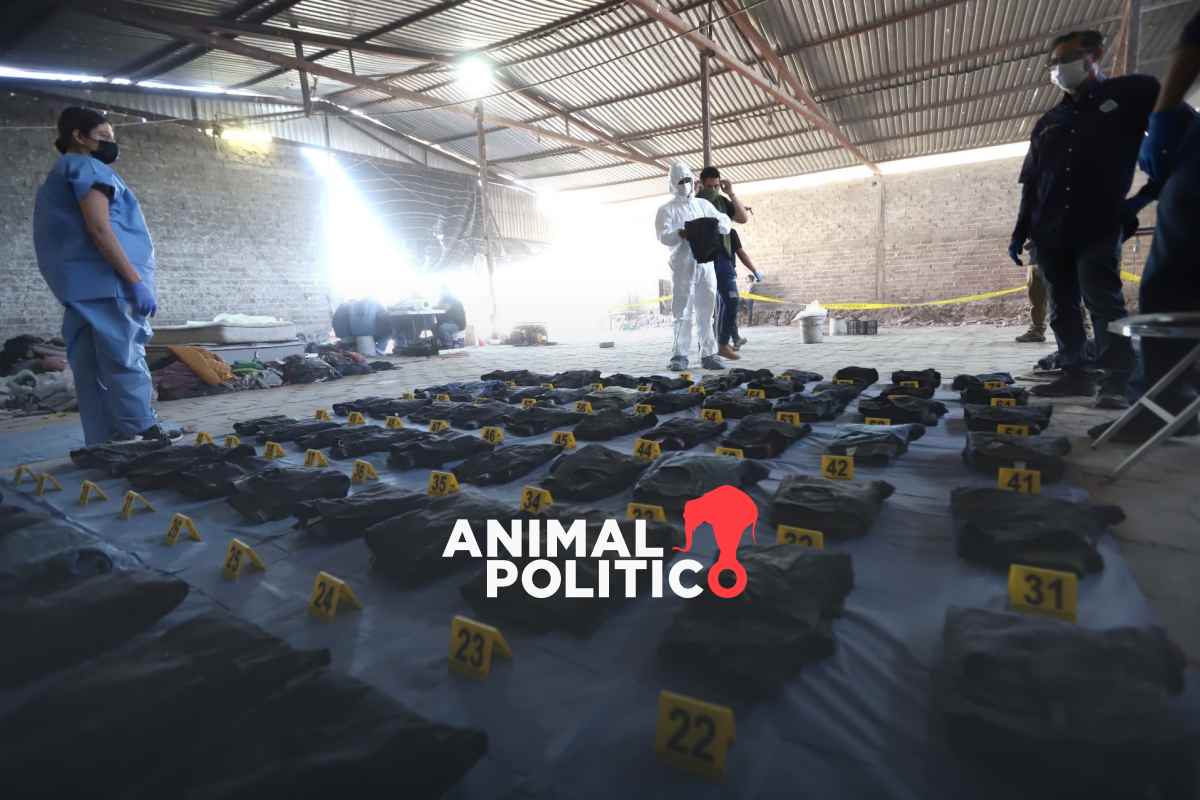 ONU inicia procedimiento contra México por desapariciones forzadas