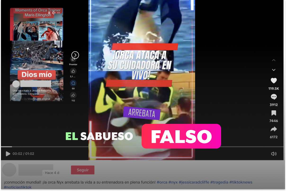 Una orca no mató a su entrenadora; videos que desinforman fueron creados con inteligencia artificial