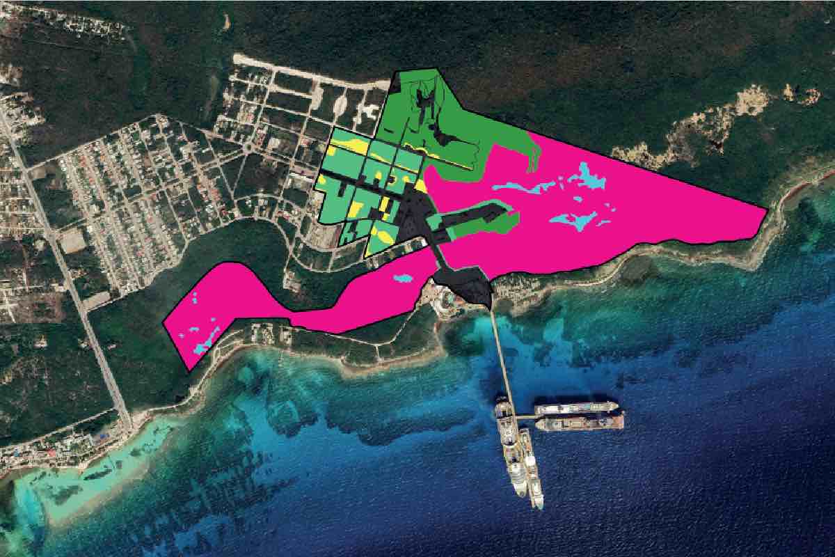 organizaciones-piden-royal-caribbean-inversion-perfect-day-selva-maya-animal-politico-1
