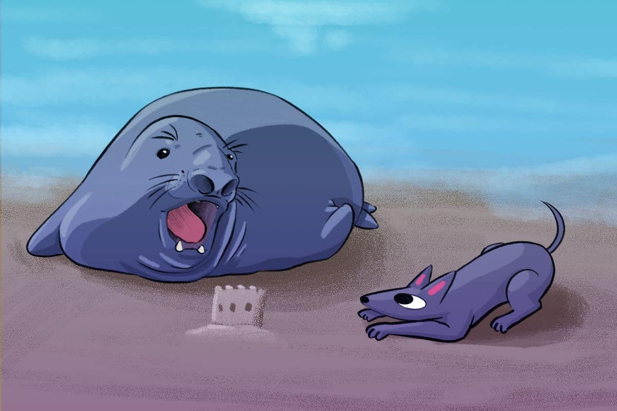 Panchito, el elefante marino que movilizó a una comunidad pesquera en BC para protegerlo