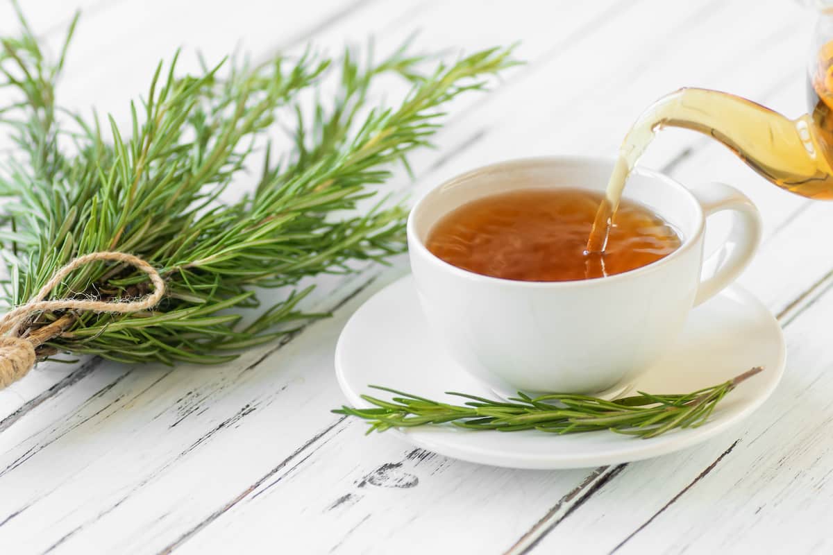 ¿Para qué sirve el té de romero? 5 beneficios y propiedades