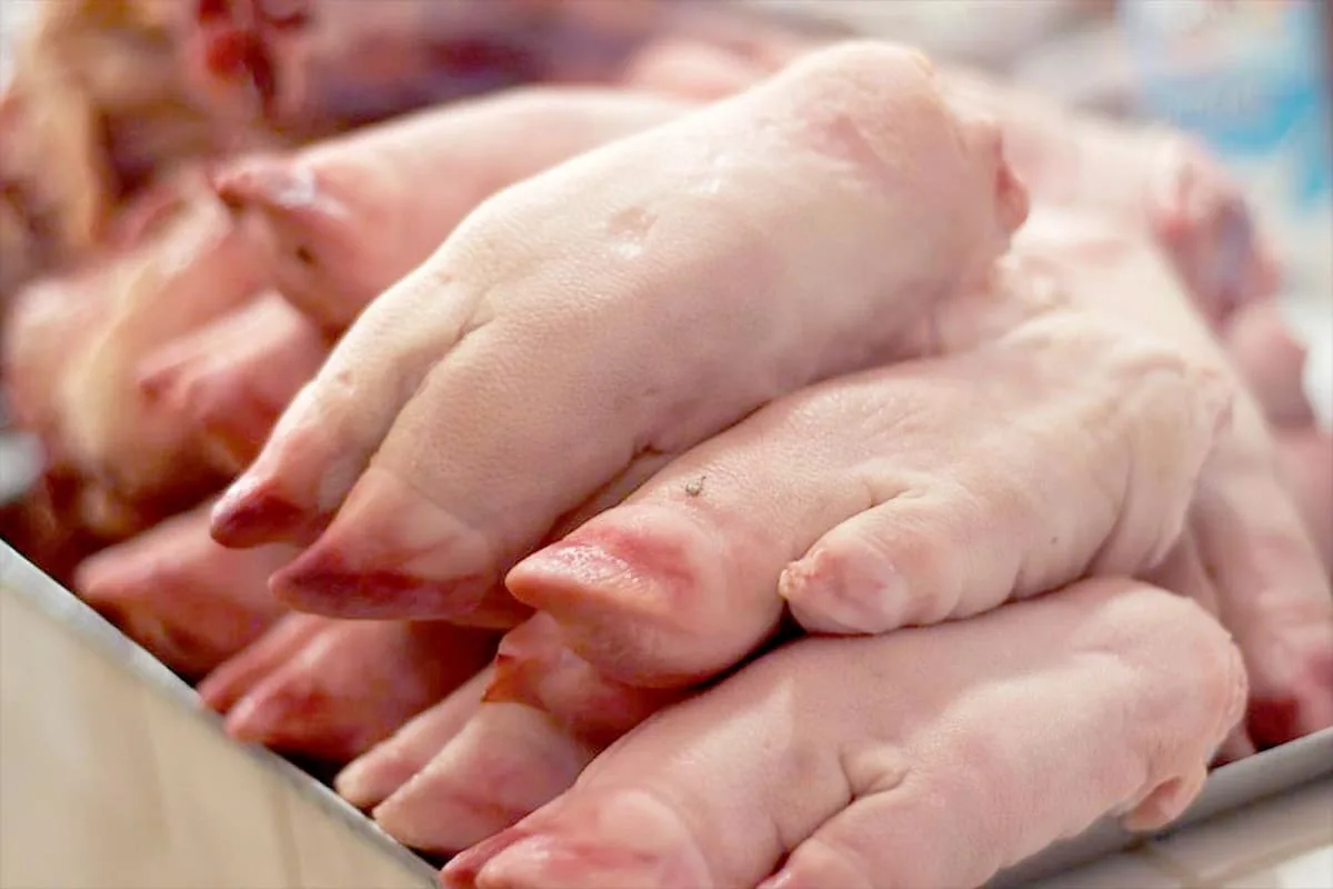 Receta de manitas de puerco o patitas de puerco, atrevido manjar