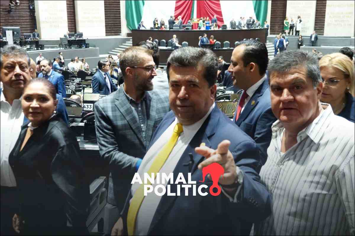 Pedro Haces, diputado de Morena, presume estrella en Las Vegas como empresario taurino