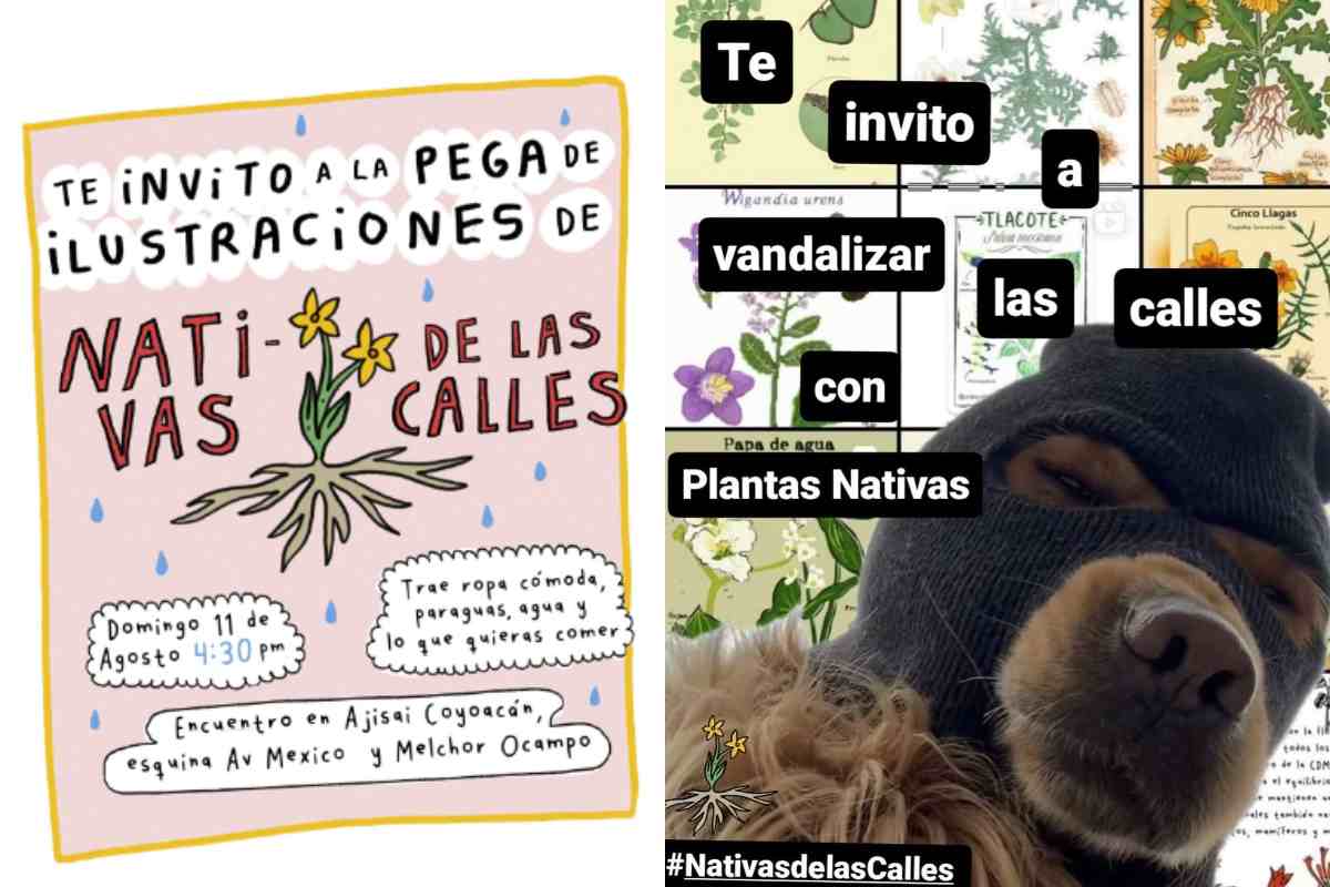 Conoce las plantas nativas de CDMX pegando calcomanías en las calles en esta iniciativa ciudadana