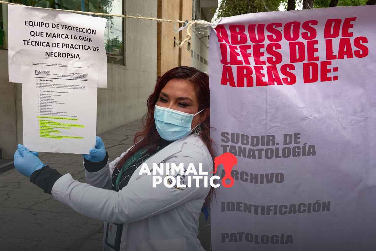 Por falta de material, peritos y médicos forenses acumulan cadáveres sin identificar en CDMX