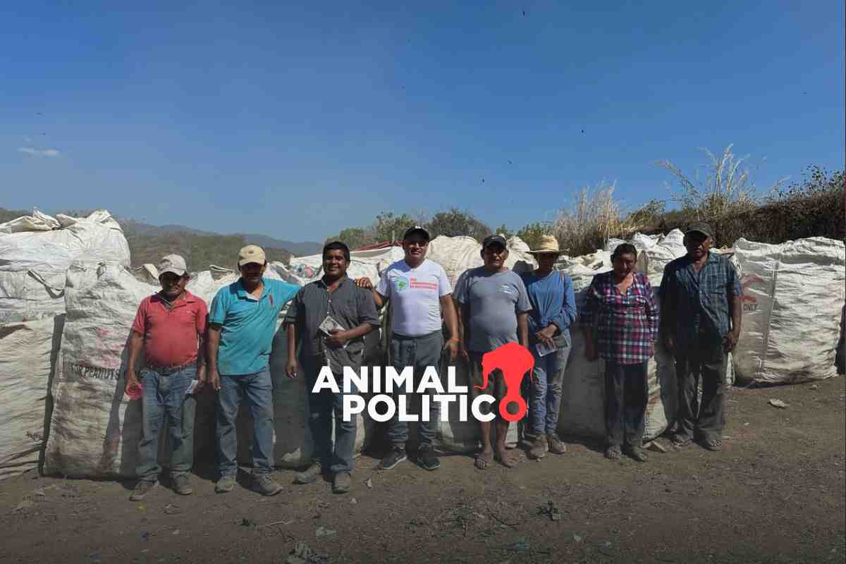 México tendrá por primera vez un Movimiento Nacional de Recicladores por sus derechos laborales