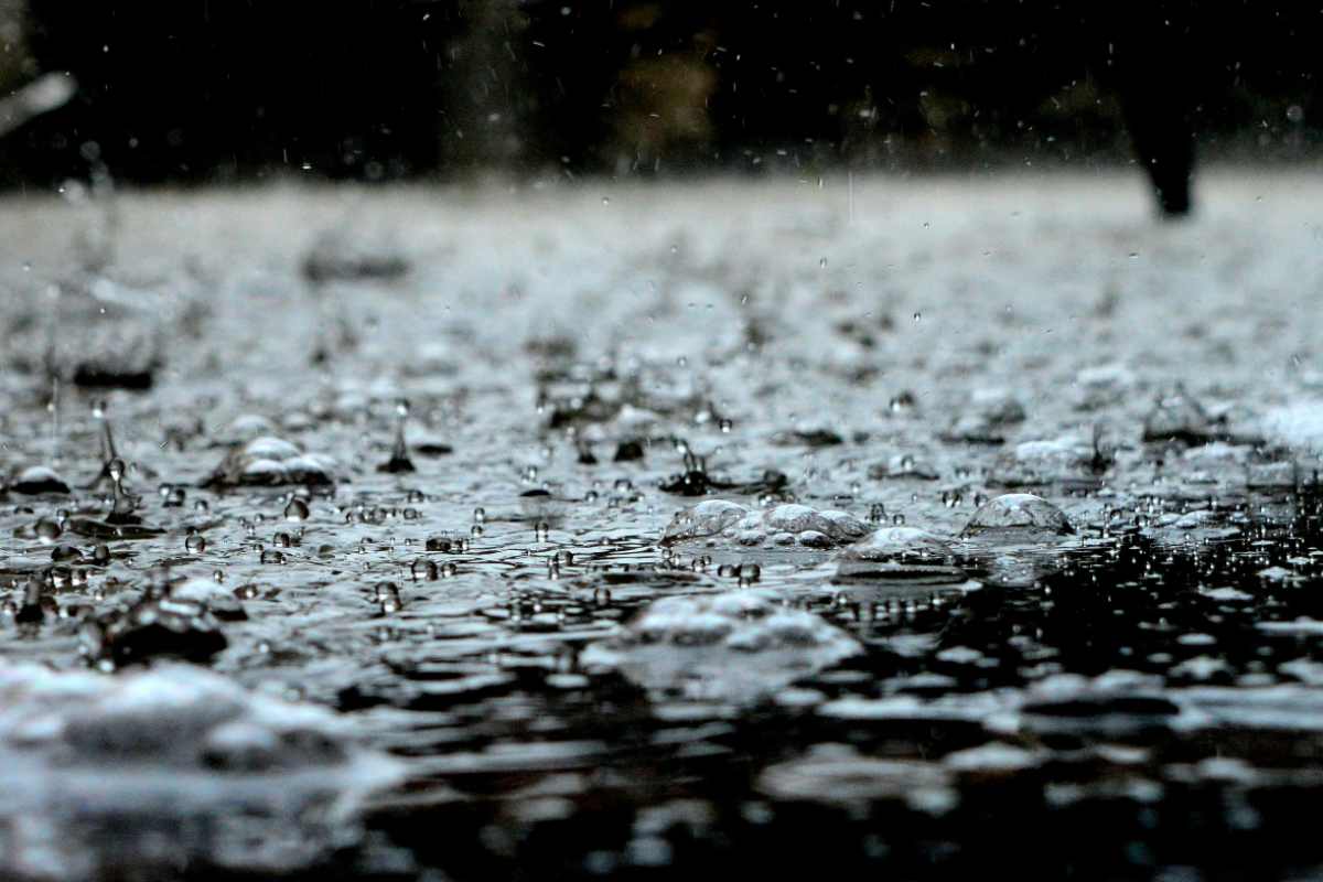 ¿Coladeras tapadas? Así puedes reportarlas y proteger tu calle en días de lluvia