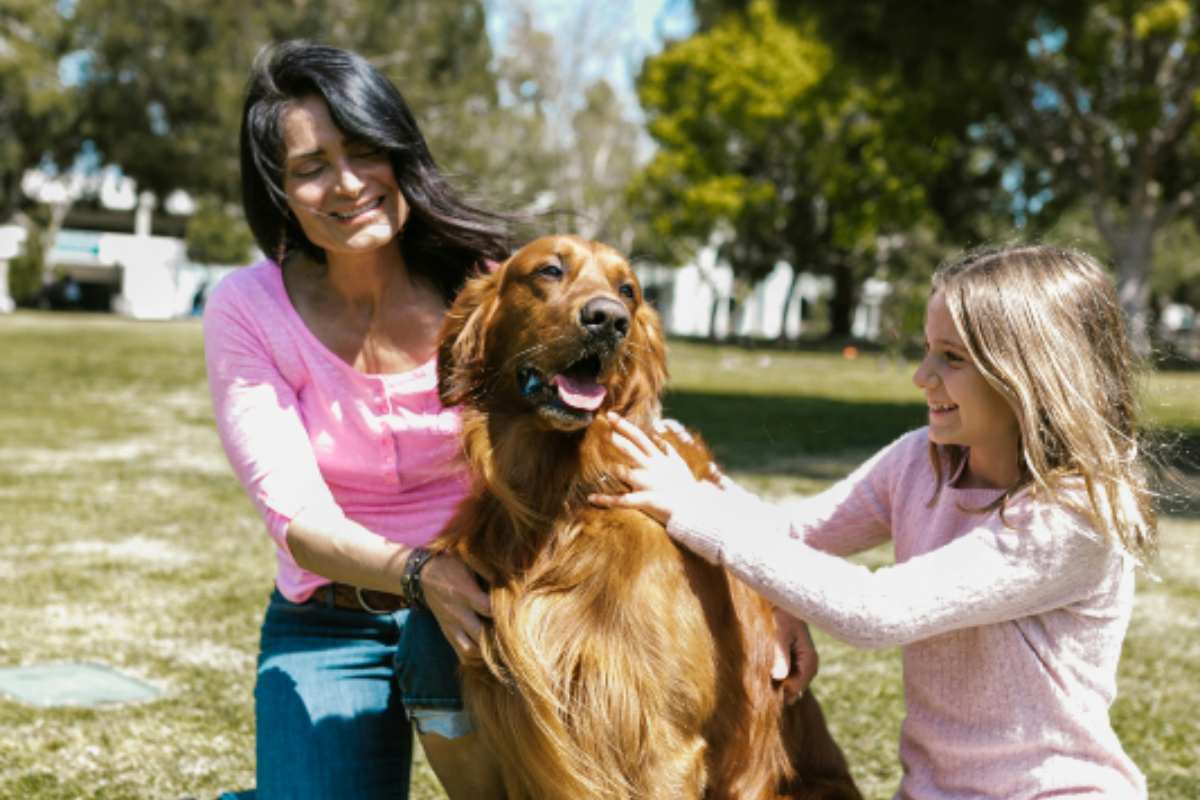 Balnearios pet friendly cerca de CDMX para visitar en Semana Santa y refrescarte con tus perritos