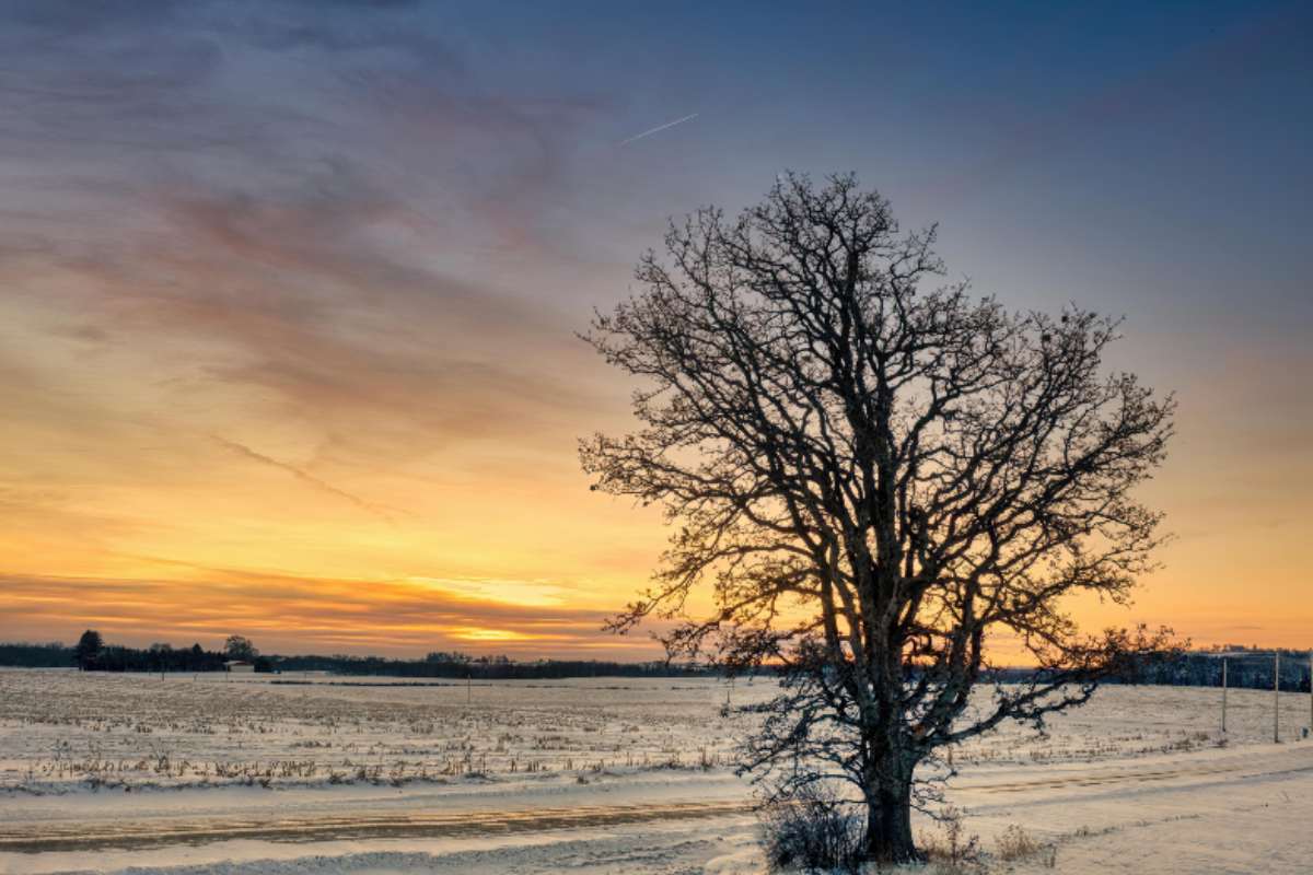 ¿Qué es y cuándo empieza el solsticio de invierno en México 2024?