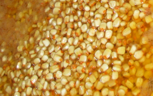 La maravillosa nixtamalización, el proceso que se aplica a frutas y verduras, no solo al maíz