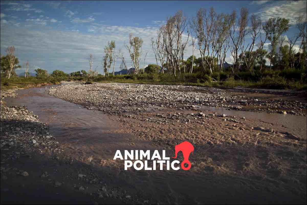 Presentan plan de más de 2 mil mdp para remediar el Río Sonora a 11 años del derrame de Grupo México