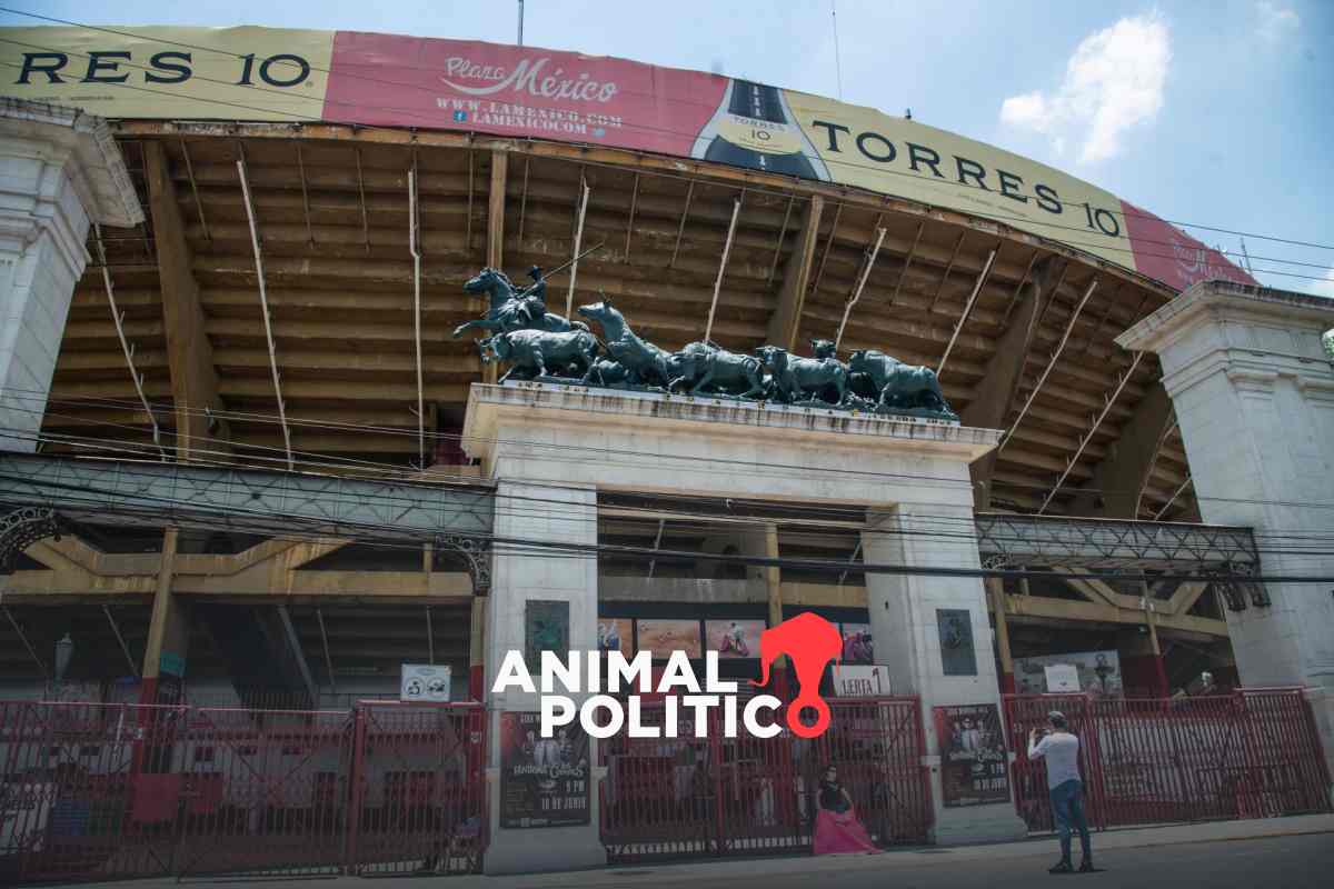 Brugada va contra corridas de toros con violencia en CDMX; empresarios taurinos piden diálogo