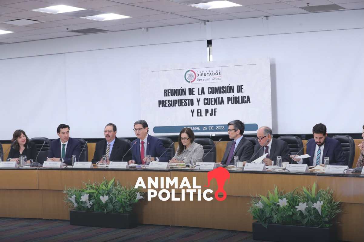 El Poder Judicial defiende su presupuesto en la Cámara de Diputados ante posible recorte