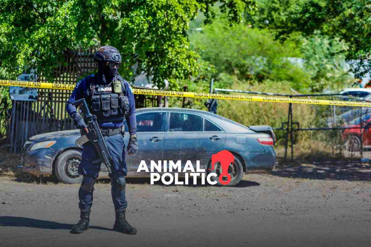 Policías de Culiacán regresan a las calles tras un mes inactivos por revisión de armas