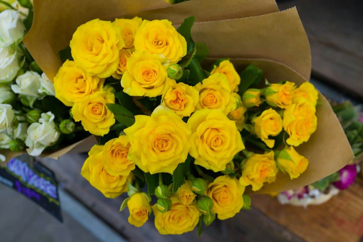 ¿Por qué regalamos flores amarillas el 21 de septiembre?