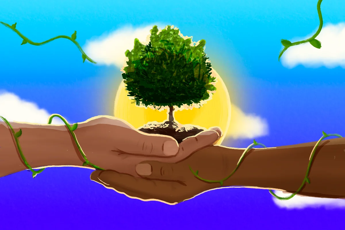 ¿Cómo reforestar con responsabilidad? Un llamado para recuperar la vegetación nativa que peligra