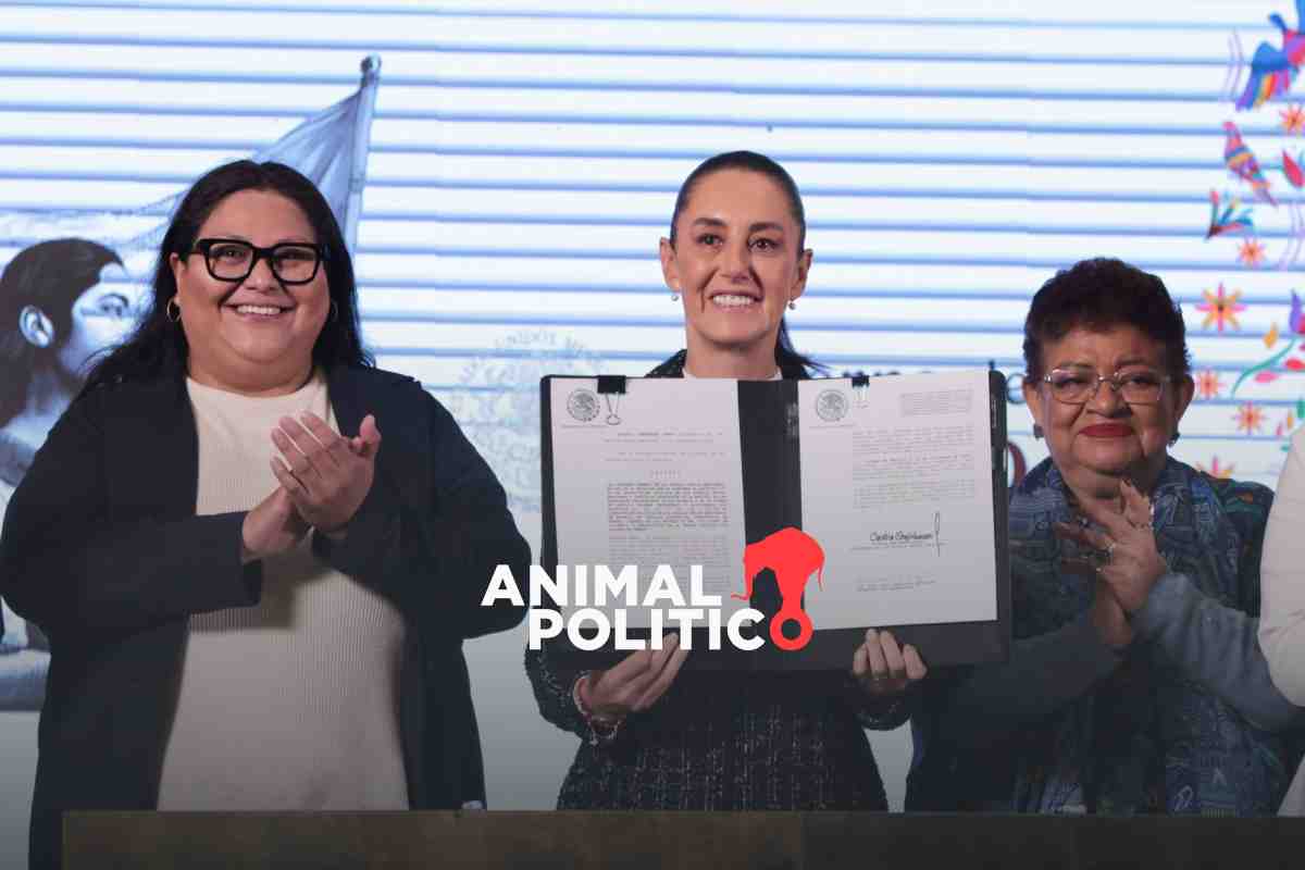 Proponen recortes en presupuesto para cuidados en 2025; Sheinbaum prometió crear sistema nacional