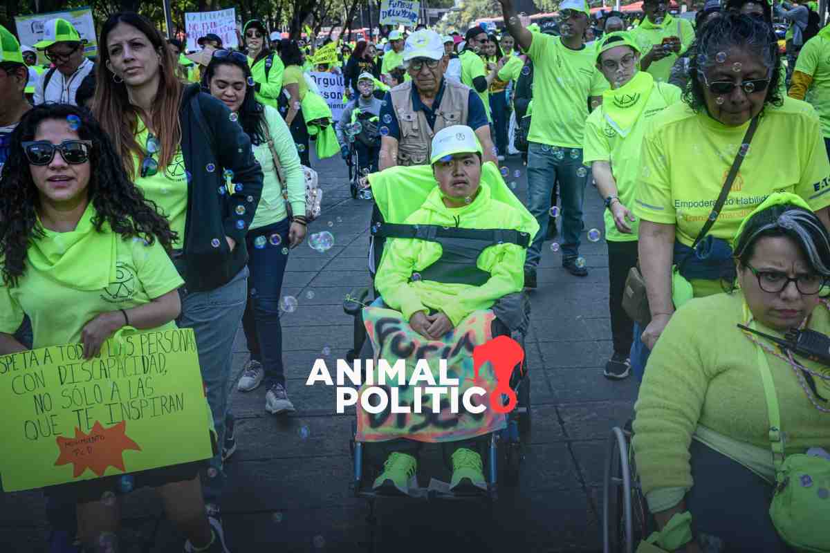 Recortan recursos a Conadis, órgano que protege a personas con discapacidad; AMLO quería eliminarlo