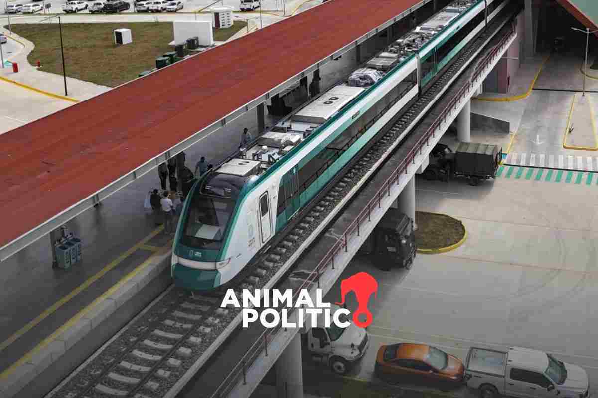 Primer Informe: Sheinbaum presume avances en materia ambiental; destaca Tren Maya y Sembrando Vida