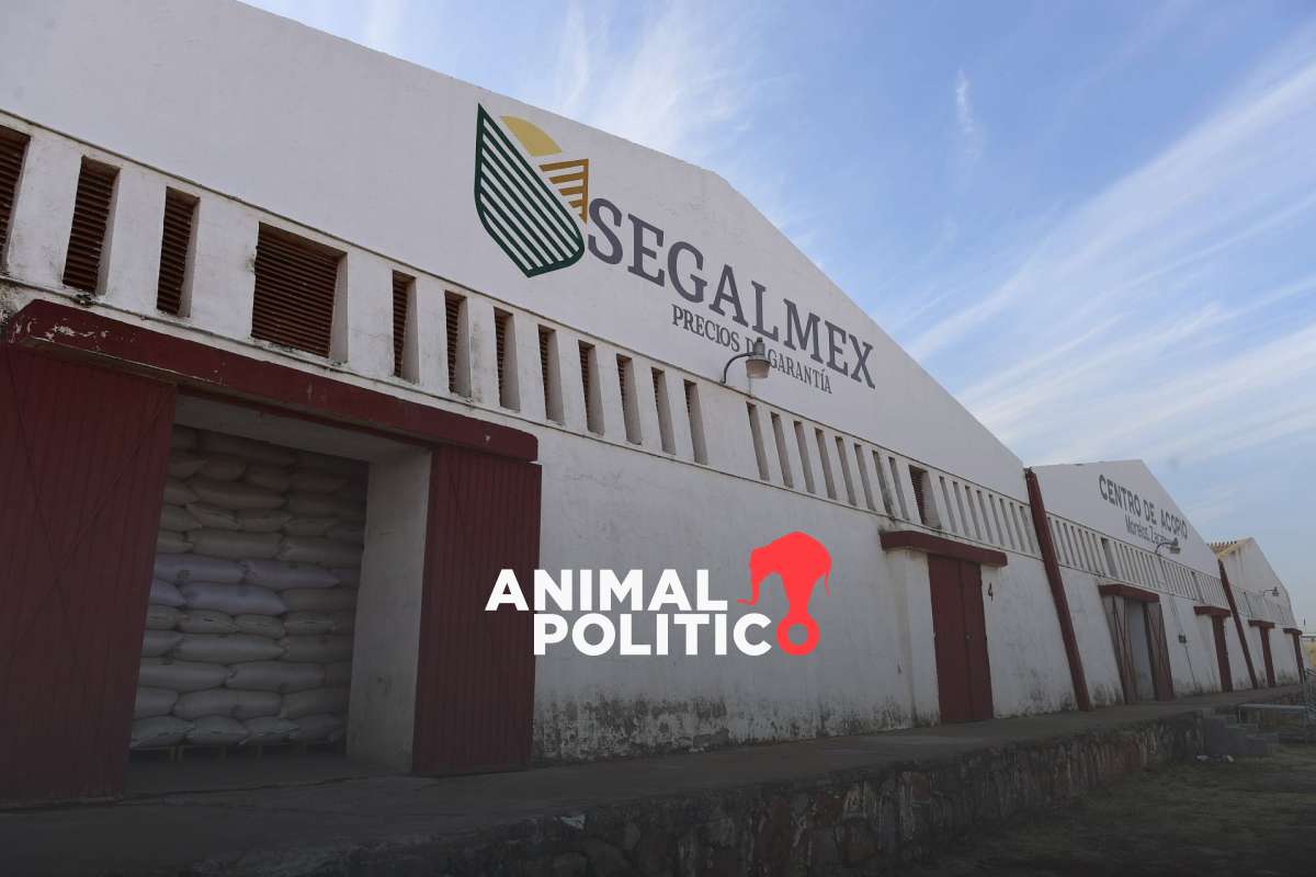 Vinculan a proceso a René Gavira, señalado en Caso Segalmex, por presunta delincuencia organizada