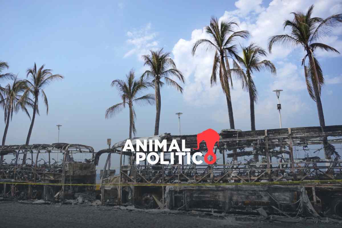 Fotos: Puerto Vallarta, el paraíso turístico que ardió por la caída de "El Mencho"