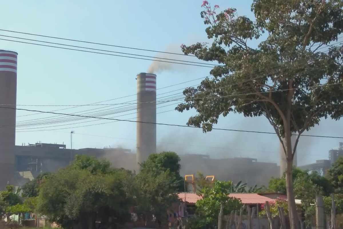 ¿Qué es el combustóleo y por qué contamina tanto el medio ambiente? Te lo contamos con gatitos