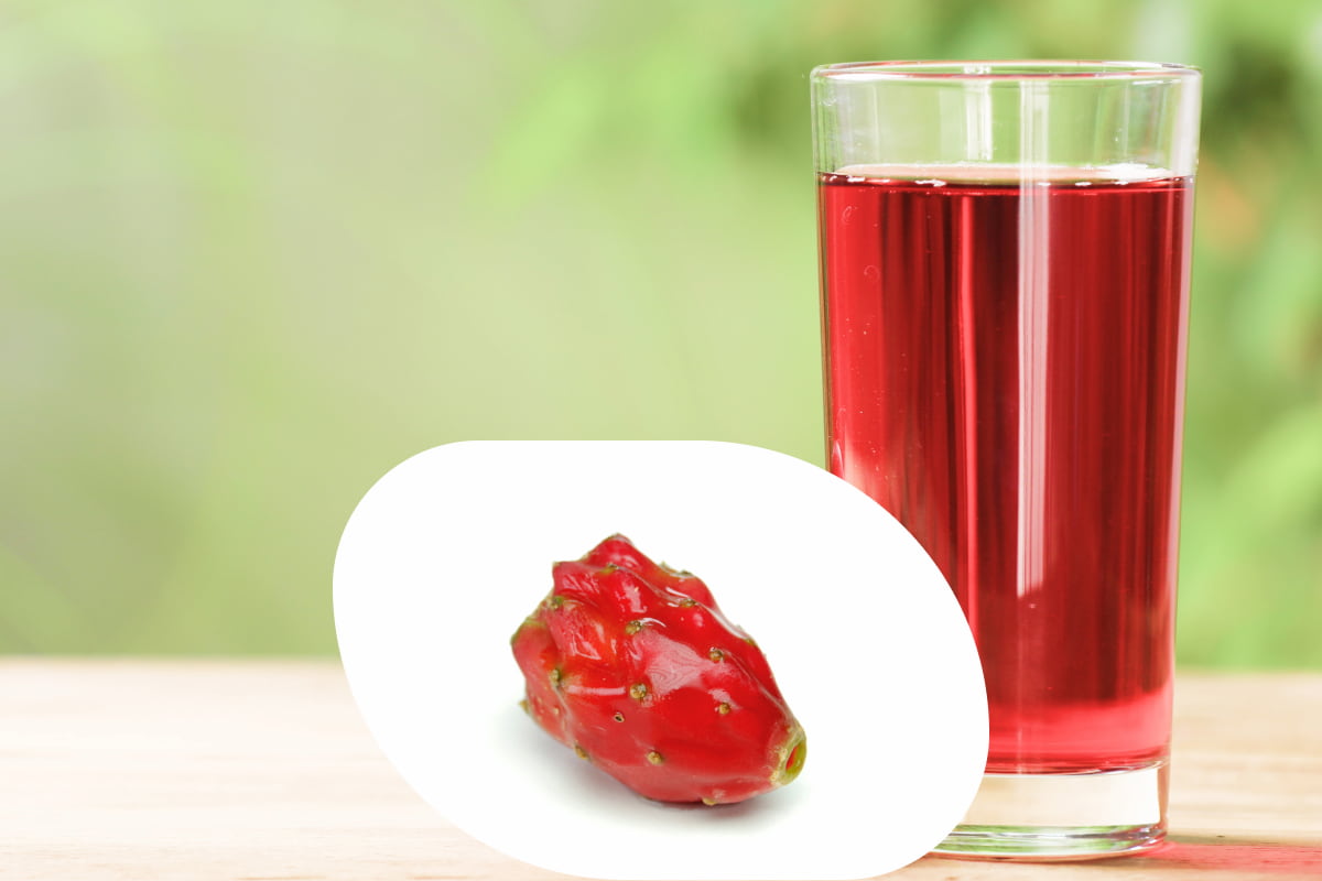 ¿Qué es el colonche, de dónde es y por qué es bueno para no estar estreñida?