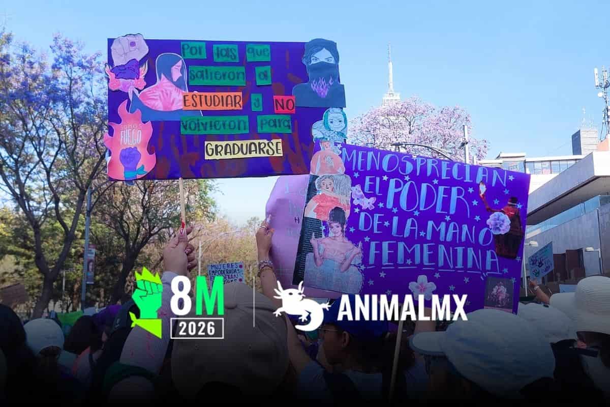 No se trata de felicitaciones: ¿qué significa el 8M y por qué salimos a las calles?