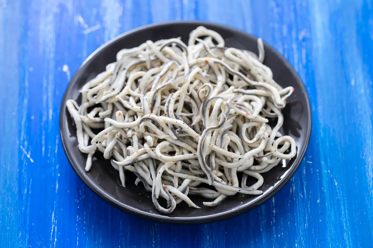 Qué son las angulas: el caviar en forma de fideo que cuesta miles de pesos