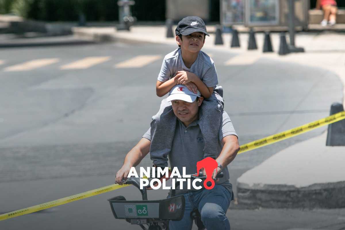 Vacaciones solidarias: diputada propone que trabajadores puedan donar o recibir días de descanso 