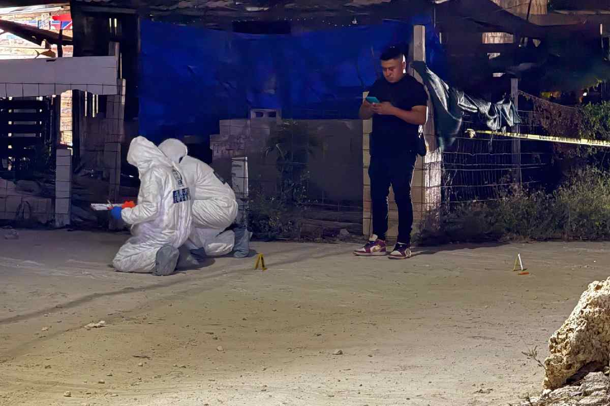 Homicidios dolosos en Quintana Roo disminuyen 79% y se registran más de 3,200 detenciones: Gabinete de Seguridad