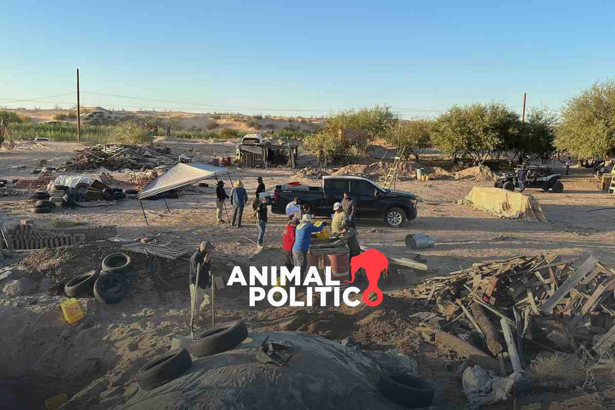 Más allá del horror de Teuchitlán: otros narco-ranchos que evidencian la crisis de desaparecidos