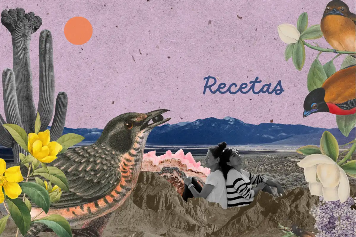 Recetas de cuidado