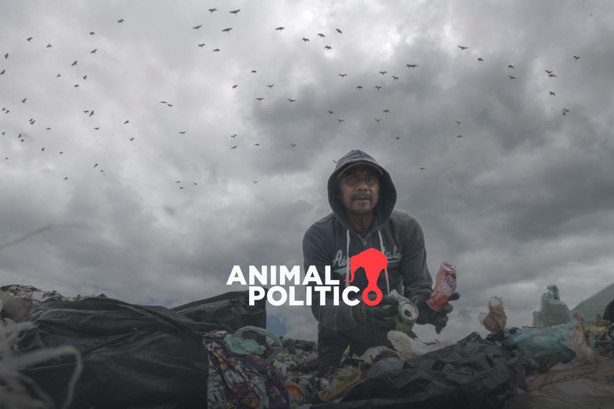 Expuestos a riesgos y sin sueldo fijo, recicladores de Guanajuato se organizan para exigir derechos 